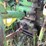 1961-john-deere-2010-image-12