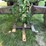 john-deere-a-image-21