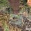 john-deere-4030-image-8