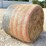 10--4'x5'-round-bales-of-mixed-grass-net-wrapped-hay-baled-this-year-image-2