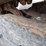 2019-bobcat-mt85-image-10