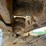 2016-caterpillar-313flgc-image-20