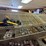 2-wire-bins-of-1”-thru-2”-pvc,-alum,-brass-camlock-fittings-&-valves-image-1