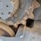 2019-takeuchi-tl8-image-21