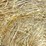 10--4'x5'-round-bales-of-mixed-grass-net-wrapped-hay-baled-this-year-image-4