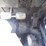 2018-jcb-509-42-image-24