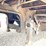 1997-trail-eze-dlx35tc53-53'-traveling-axle-flatbed-trailer-image-16