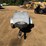 #1076-•-offered-at-no-reserve-|-2014-tow-behind-motorcycle-cargo-trailer-image-6