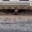 2012-caterpillar-305e-cr-image-31