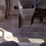 2020-doosan-da30-image-10