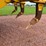 caterpillar-d6t-xl-image-41