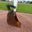 bobcat-e85-image-33