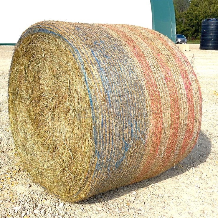 10- 4'x5' round bales of mixed grass net wrapped hay baled this year
