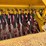 vermeer-gd107-image-17