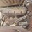 ford-model-t-image-7