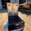 #1076-•-offered-at-no-reserve-|-2014-tow-behind-motorcycle-cargo-trailer-image-21