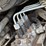 caterpillar-257b2-image-38