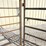unused-24'-freestanding-corral-panel-w/-8'-gate-on-1-end-image-11