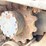 2012-takeuchi-tl10-image-17