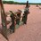 wacker-neuson-wl95-image-5