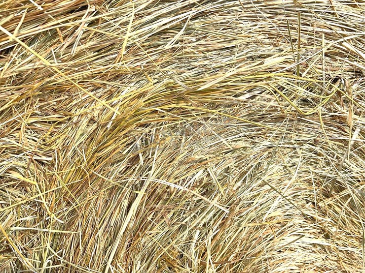 10--4'x5'-round-bales-of-mixed-grass-net-wrapped-hay-baled-this-year-image-4
