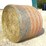 10--4'x5'-round-bales-of-mixed-grass-net-wrapped-hay-baled-this-year-image-1