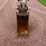 bobcat-e85-image-34