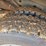 2016-ford-f450-xl-image-24