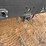 2019-ford-f750-image-20