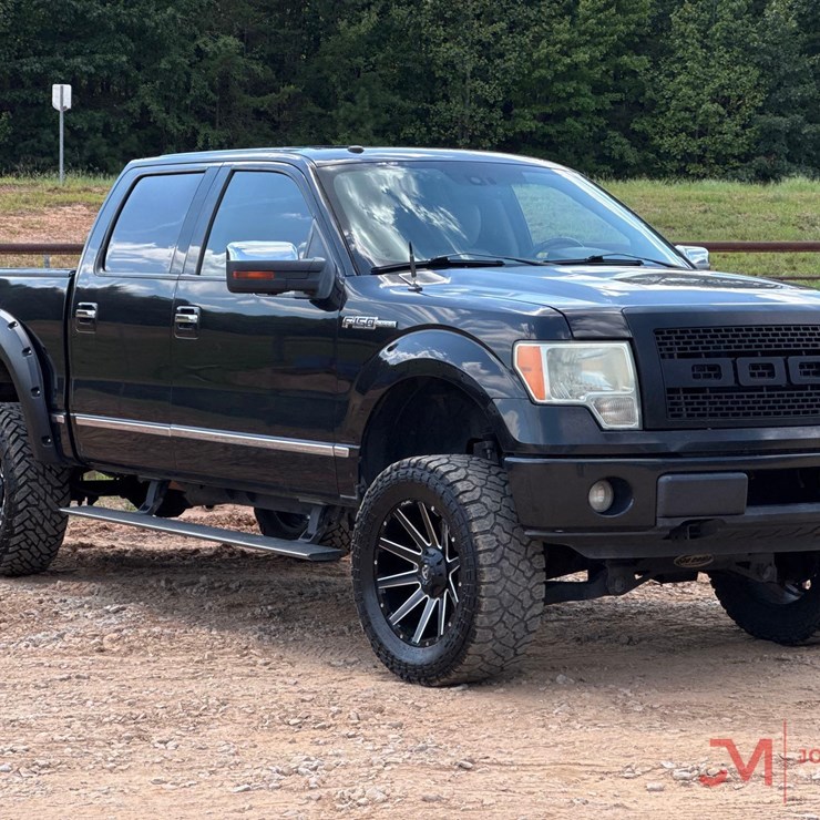 2010 FORD F150 PLATINUM
