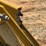 2015-caterpillar-262d-image-12