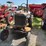 international-cub-image-3