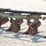 john-deere-416-image-6