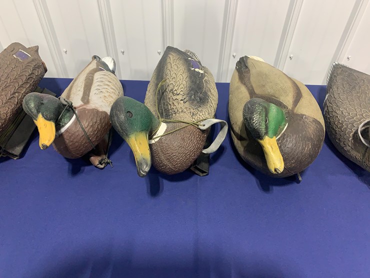 decoys-image-3