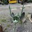 john-deere-2-image-1
