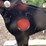 #5435-•-3/8-in.-ar500-steel-coyote-shooting-target-with-heart-flapper-image-6