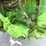 1982-john-deere-4840-image-18