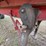 #5052-•-1983-hilbilt-36'-dump-trailer-(has-il-title)-image-24