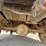 1996-ford-f350-image-25