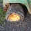 john-deere-160-image-10