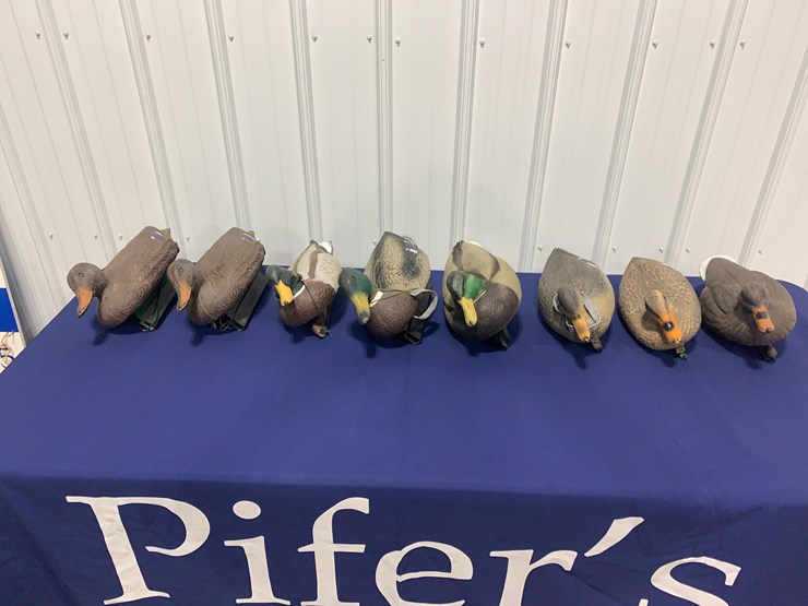 decoys-image-1
