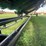 horst-4-wheel-steer-header-trailer-image-4