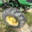 john-deere-5065e-image-8