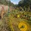 john-deere-702-image-37