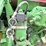 1978-john-deere-4840-image-32