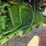 1991-john-deere-4755-image-15