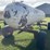 1,000-gal-nh3-tank-image-4