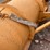 #5123-•-12'-angle-snow-plow-image-12