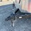 #34-•-dji-ag-drone-w/support-trailer-5habe1426mn088934-inv#20970-image-18