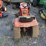 allis-chalmers-610-lawn-&-garden-tractor-image-7